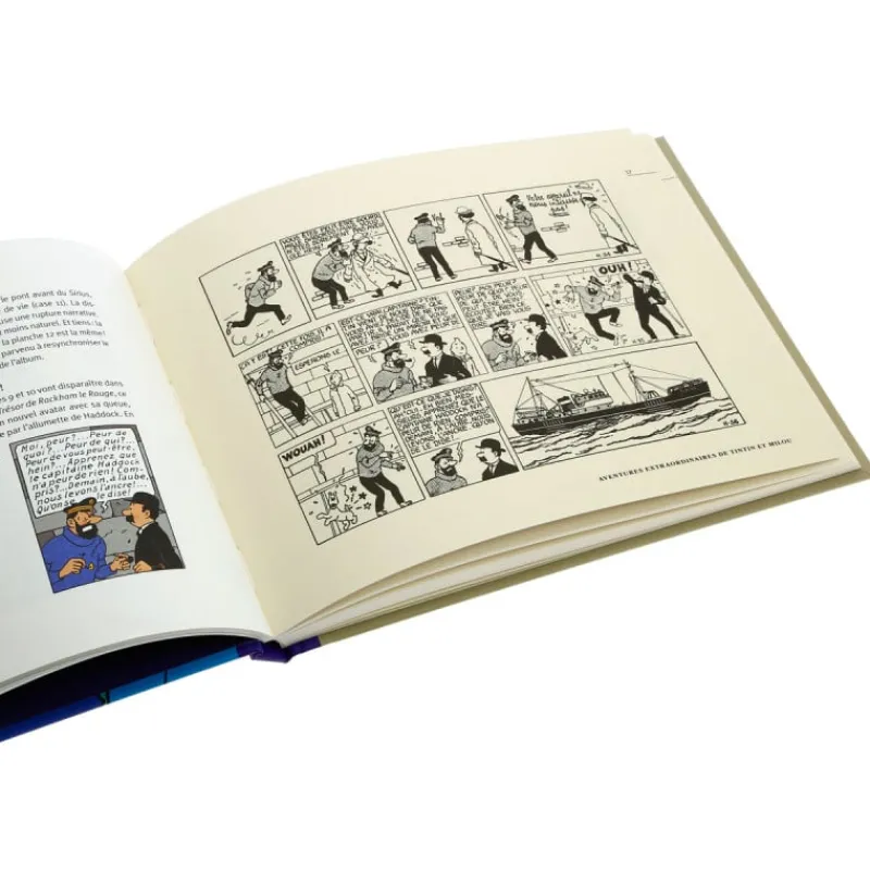Monographies*Tintin Boutique A la recherche du trésor de Rackham le Rouge