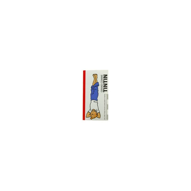 Monographies*Tintin Boutique Album Toise - Yoga