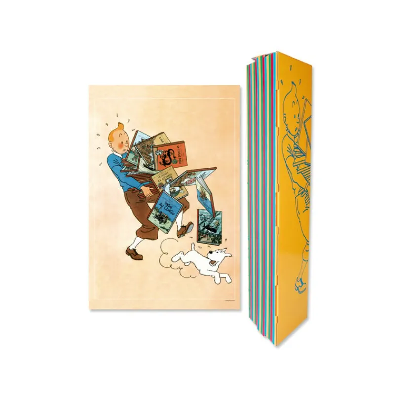 Affiches*Tintin Boutique Poster-Tintin Albums